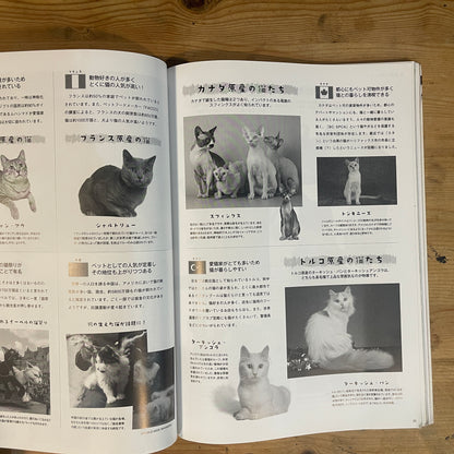 ねこねたvol.4 鎌倉・江ノ島 ぶらりねこ巡り / Nekoneta Vol.4 Kamakura & Enoshima Cat Stroll