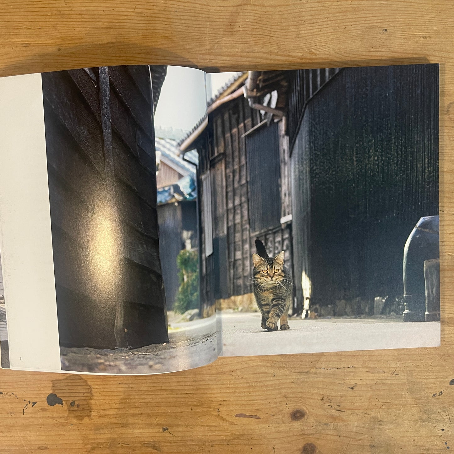 ねことじいちゃん サイン入り / Mitsuaki Iwago's "Grandpa and Cat" (Signed)