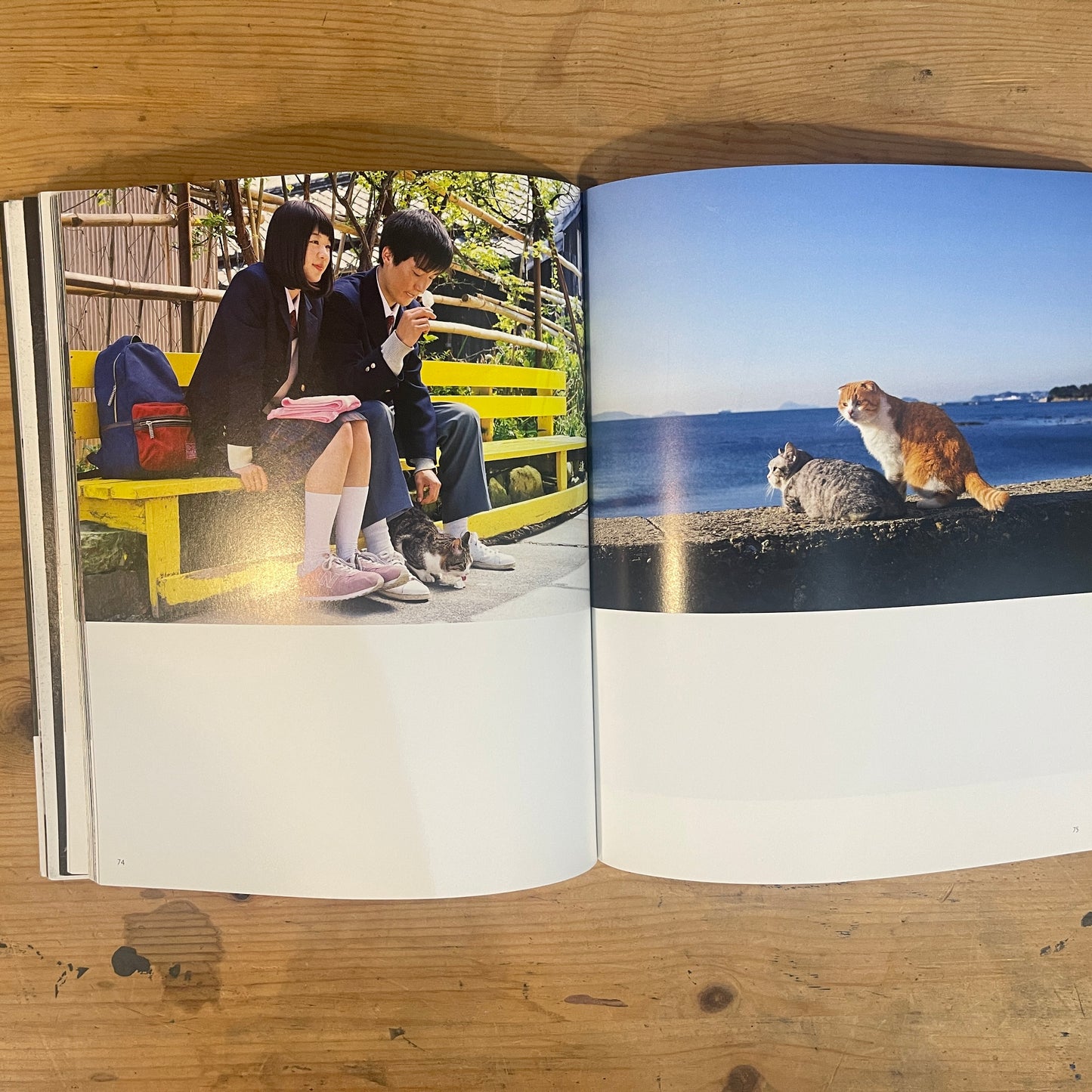 ねことじいちゃん サイン入り / Mitsuaki Iwago's "Grandpa and Cat" (Signed)