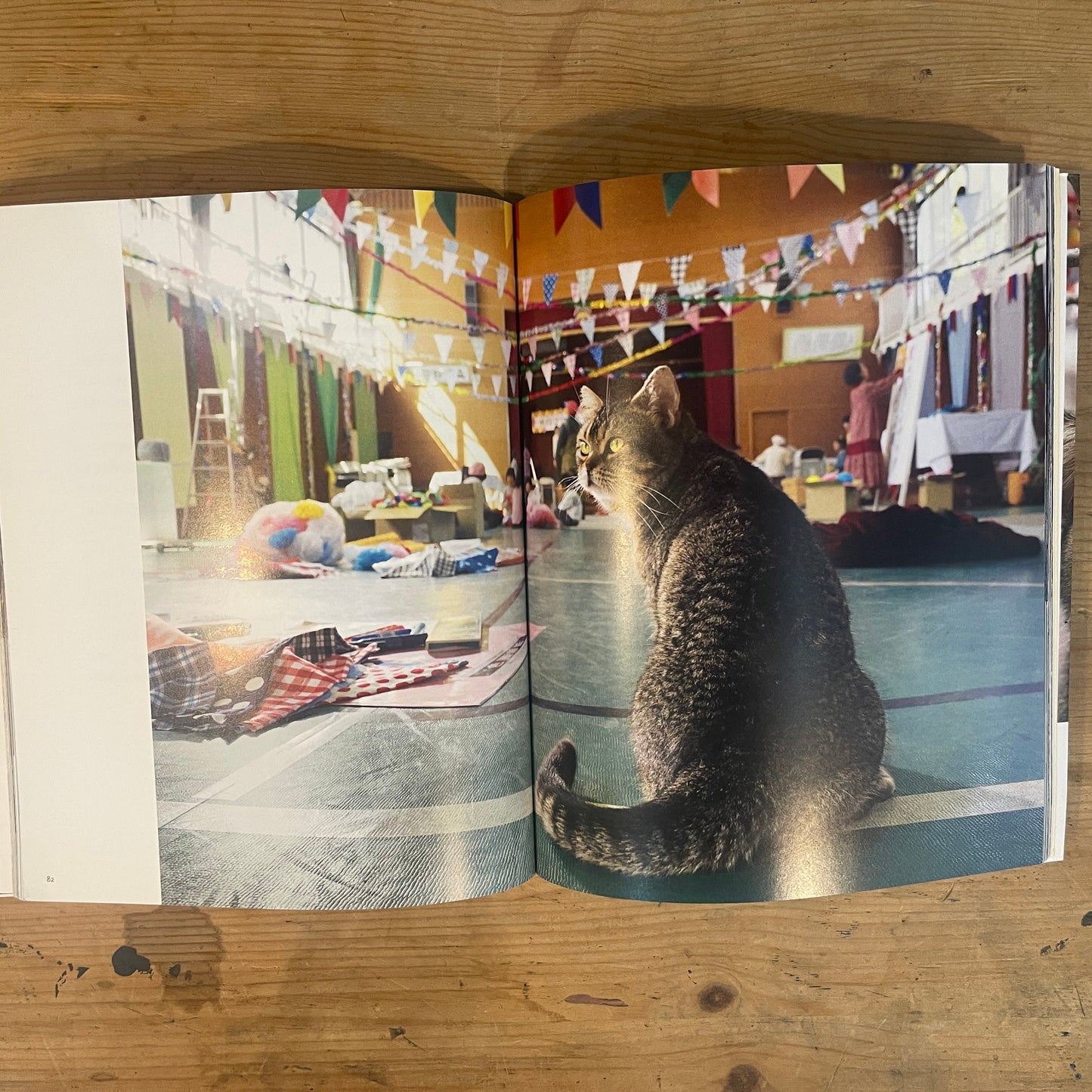 ねことじいちゃん サイン入り / Mitsuaki Iwago's "Grandpa and Cat" (Signed)