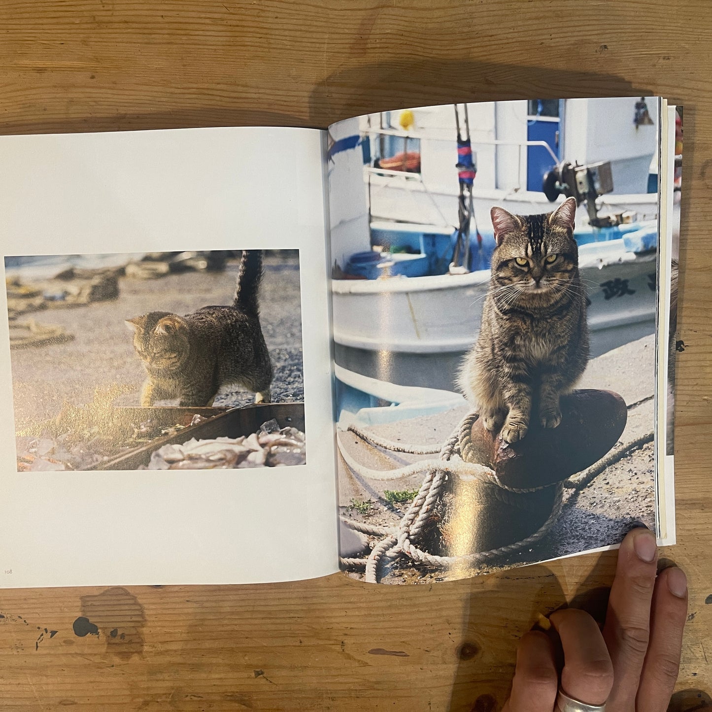 ねことじいちゃん サイン入り / Mitsuaki Iwago's "Grandpa and Cat" (Signed)