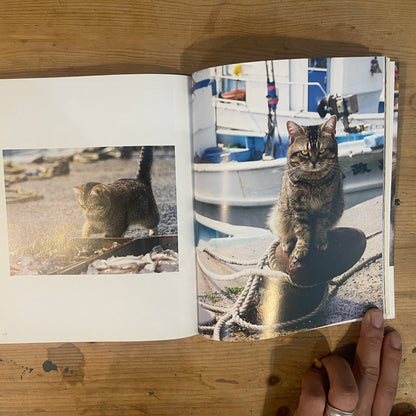 ねことじいちゃん サイン入り / Mitsuaki Iwago's "Grandpa and Cat" (Signed)