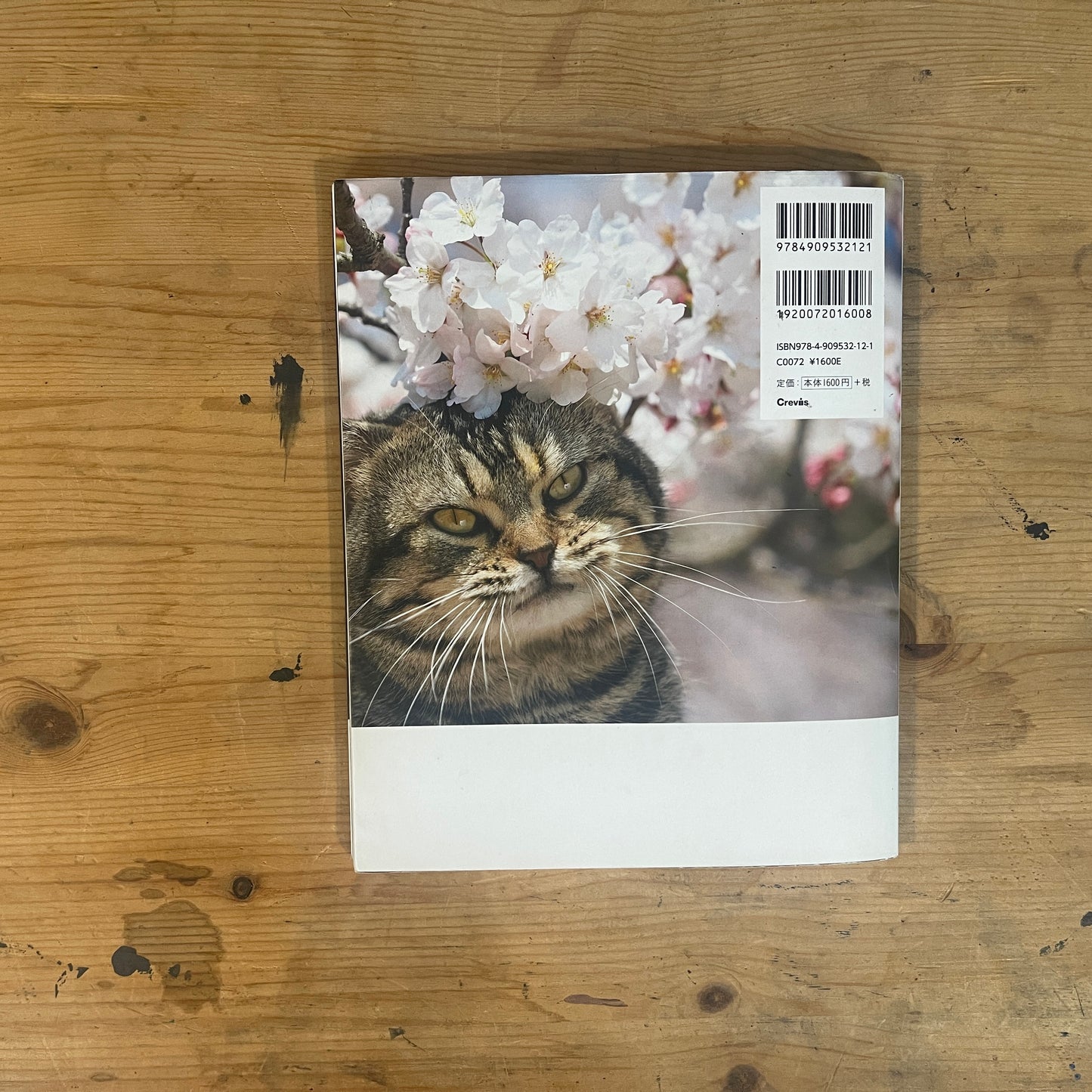 ねことじいちゃん サイン入り / Mitsuaki Iwago's "Grandpa and Cat" (Signed)