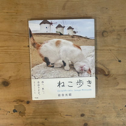 ねこ歩き 西へ、東へ。 / Mitsuaki Iwago's Cat Walk: To the West, To the East.