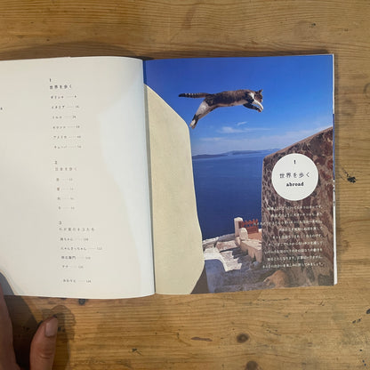 ねこ歩き 西へ、東へ。 / Mitsuaki Iwago's Cat Walk: To the West, To the East.