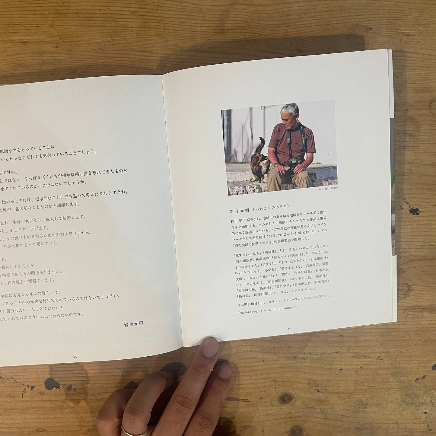 ねこ歩き 西へ、東へ。 / Mitsuaki Iwago's Cat Walk: To the West, To the East.