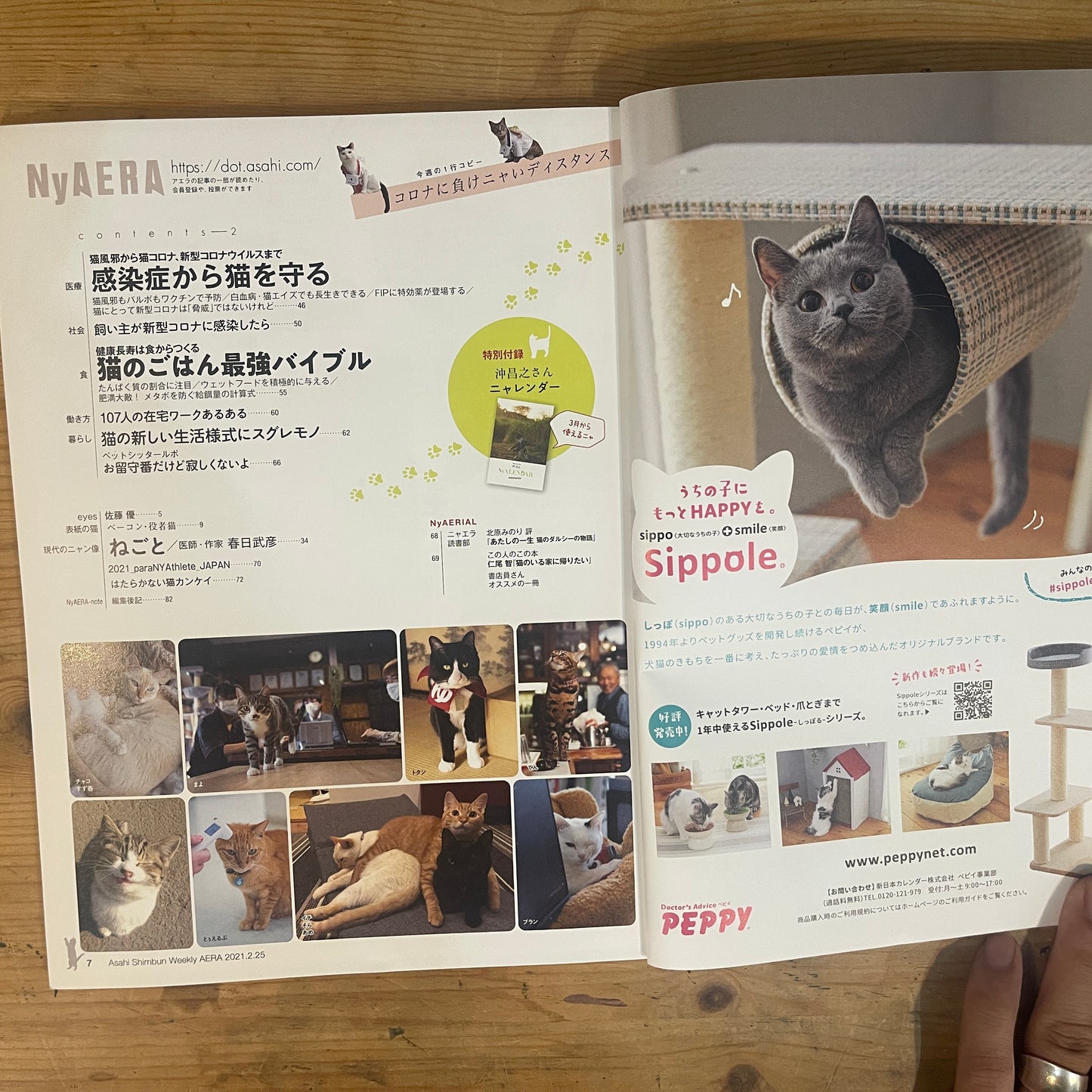 NyAERA2021 ニャエラ 人生を変えた猫 / NyAERA 2021: The Cats Who Changed Our Lives