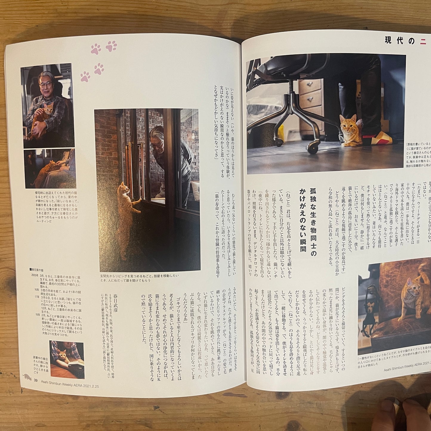 NyAERA2021 ニャエラ 人生を変えた猫 / NyAERA 2021: The Cats Who Changed Our Lives