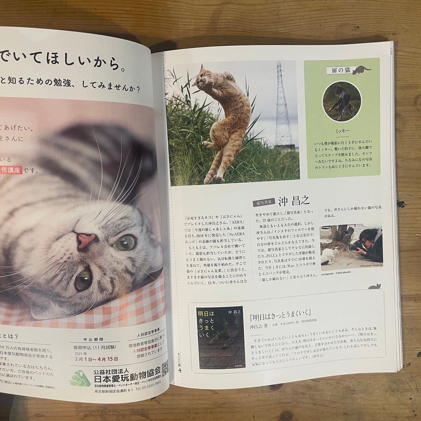 NyAERA2021 ニャエラ 人生を変えた猫 / NyAERA 2021: The Cats Who Changed Our Lives