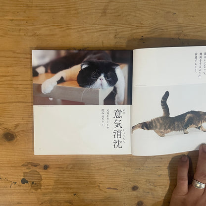 にゃんこ四字熟語辞典2 / Nyanko Idiom Dictionary Vol. 2