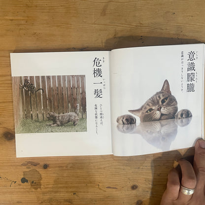 にゃんこ四字熟語辞典2 / Nyanko Idiom Dictionary Vol. 2
