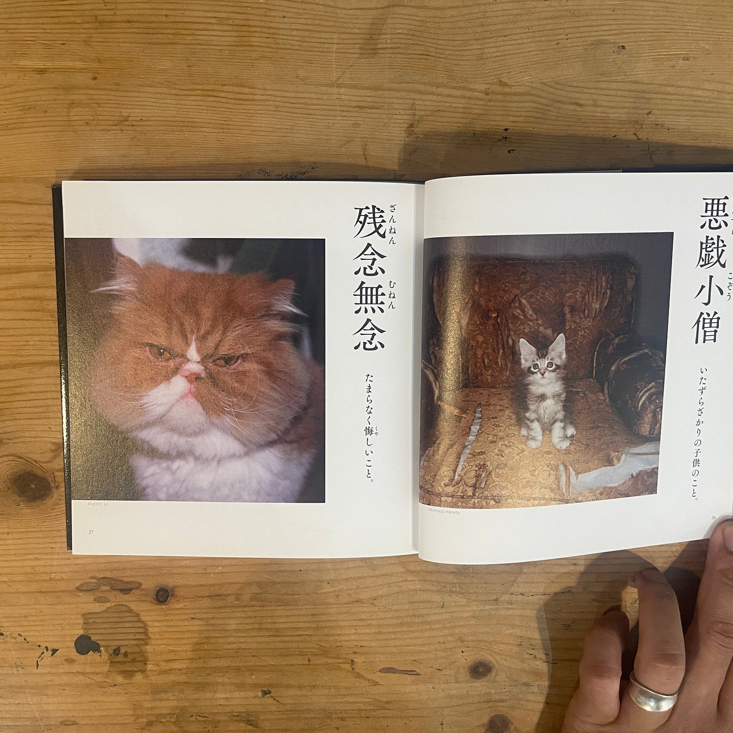 にゃんこ四字熟語辞典2 / Nyanko Idiom Dictionary Vol. 2