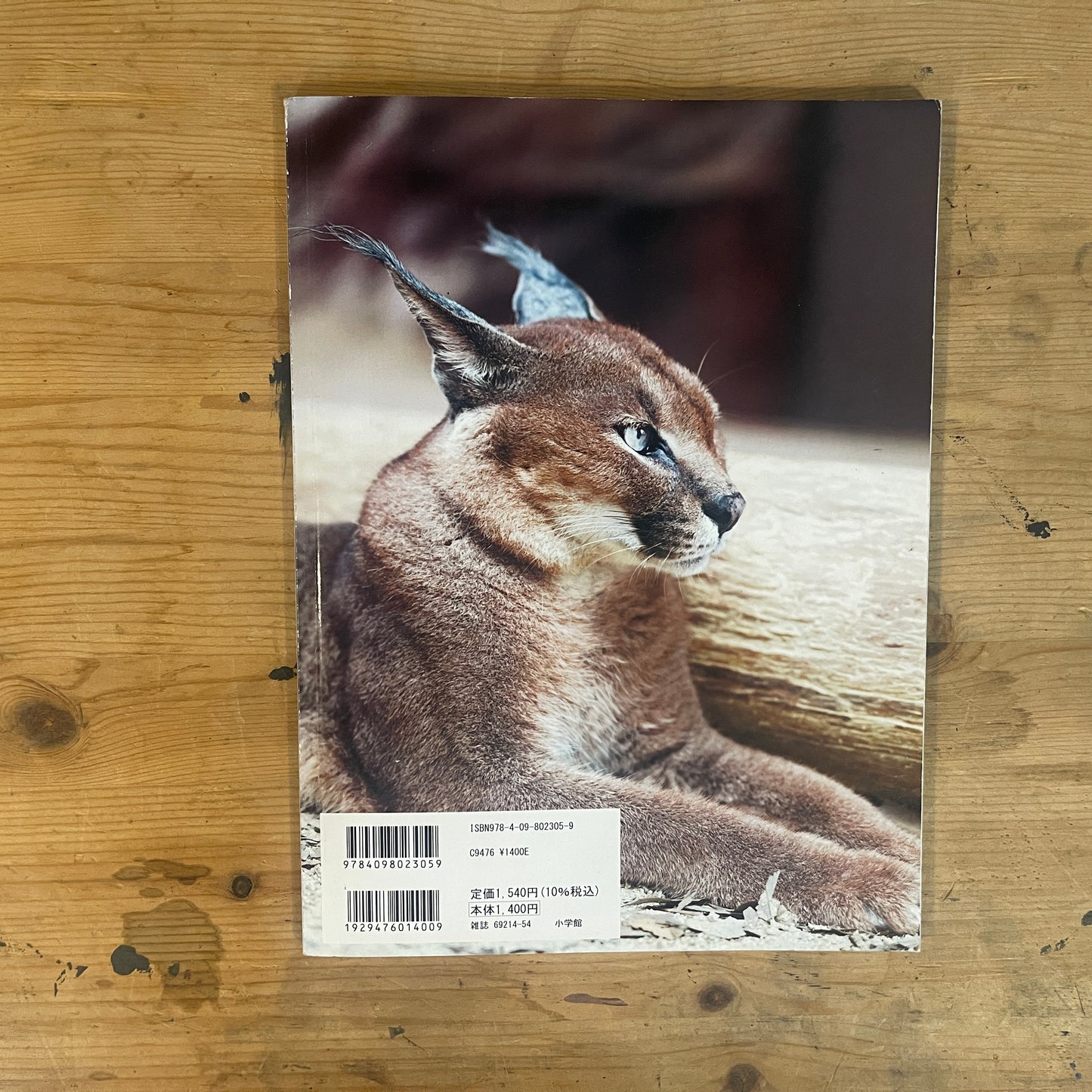美しすぎるネコ科図鑑 / The Feline Encyclopedia of Breathtakingly Beautiful Cats