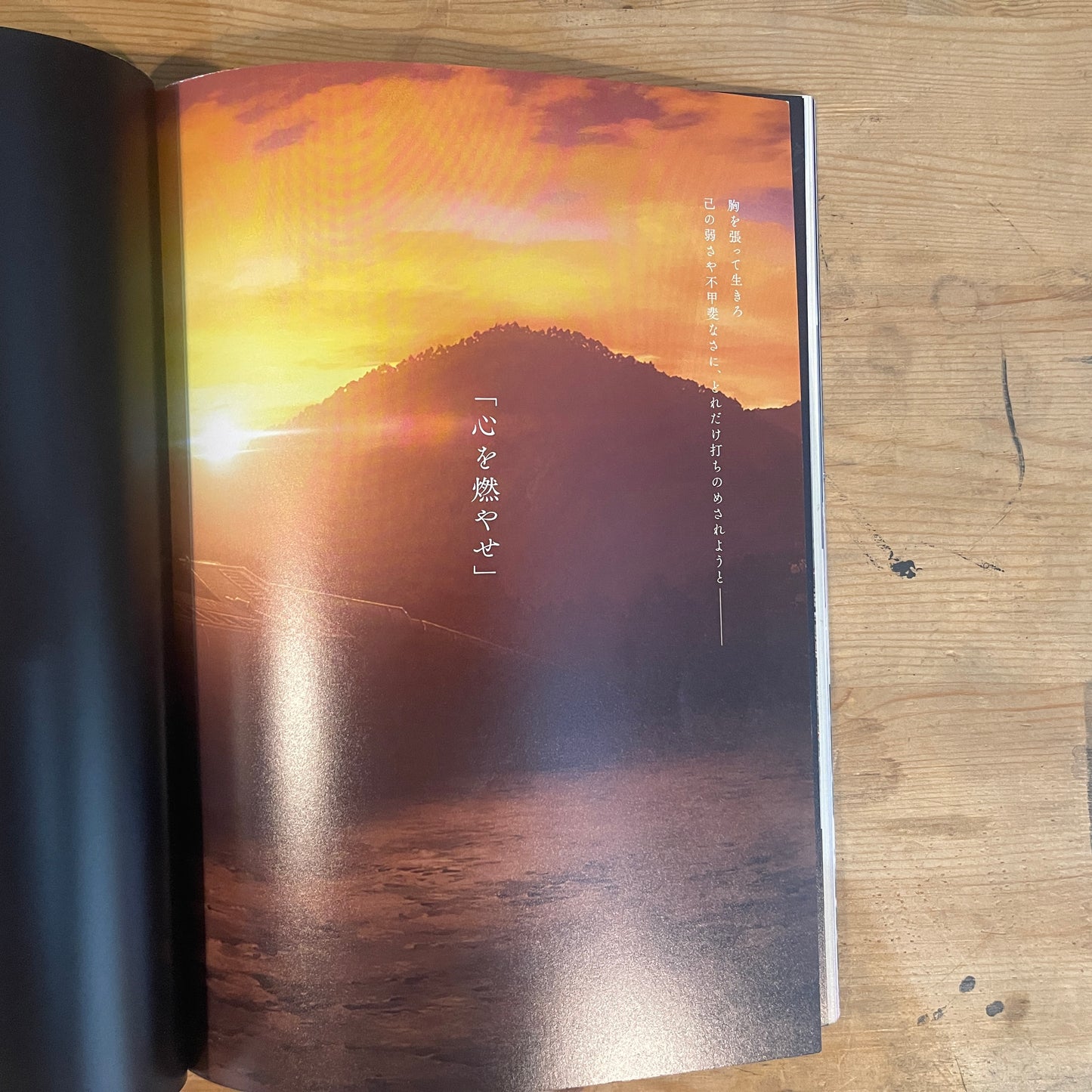 劇場版 鬼滅の刃 無限列車編 パンフレット / Demon Slayer: Mugen Train The Movie Pamphlet