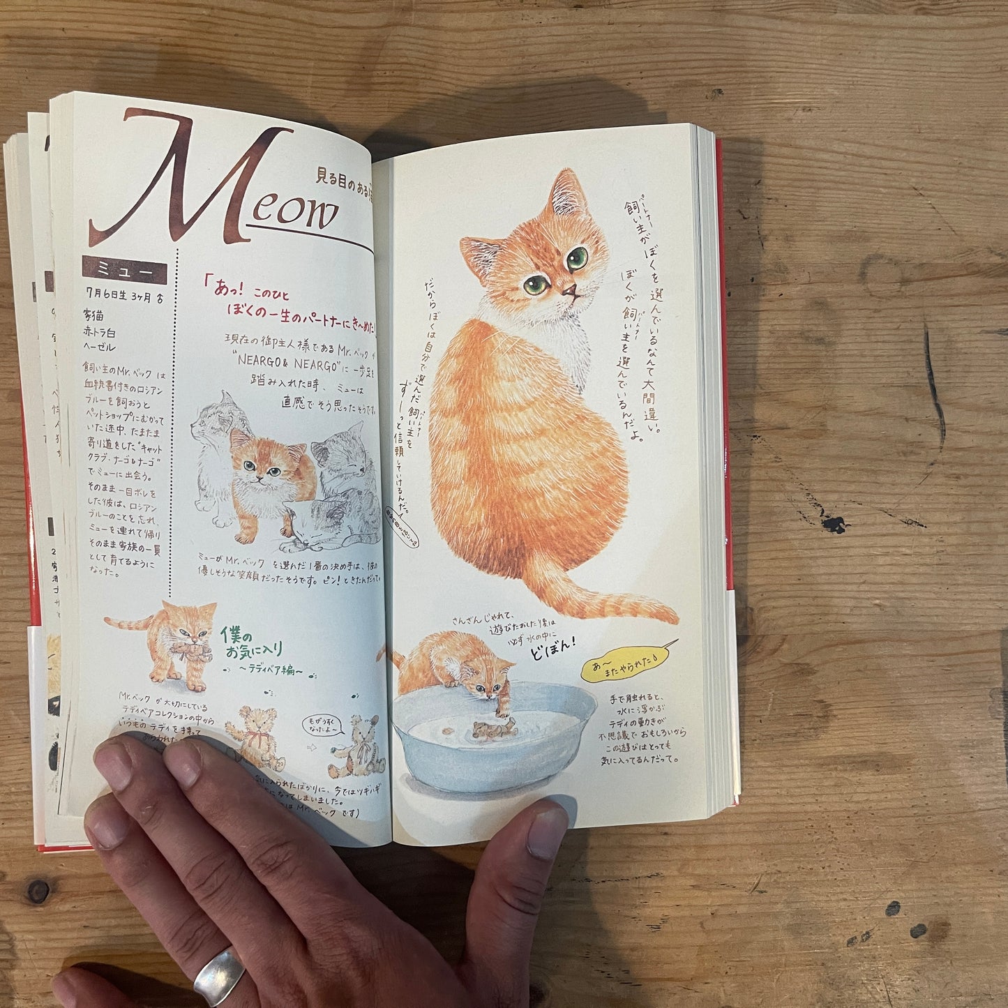 いつでもどこでも ネコ町物語 ナーゴ / Anywhere, Anytime: The Story of Cat Town, Narugo