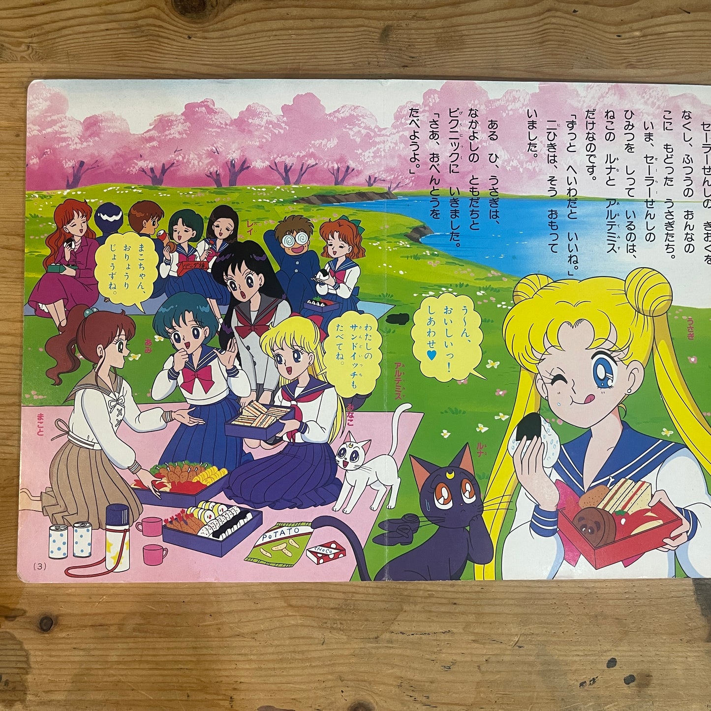 講談社のテレビ絵本 美少女戦士セーラームーンR 12巻 / Kodansha TV Picture Book: Pretty Guardian Sailor Moon R Vol. 12