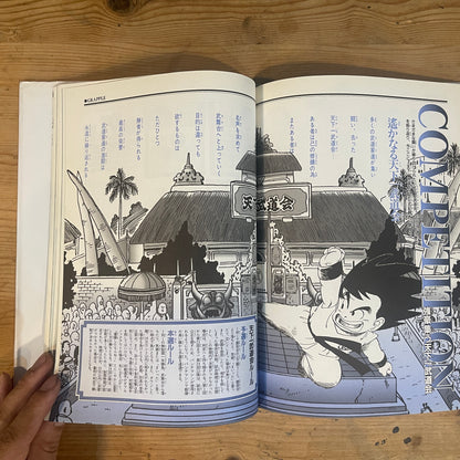 鳥山明ワールド DRAGON BALL 大全集 4 WORLD GUIDE / Akira Toriyama World: Dragon Ball Daizenshuu 4 WORLD GUIDE