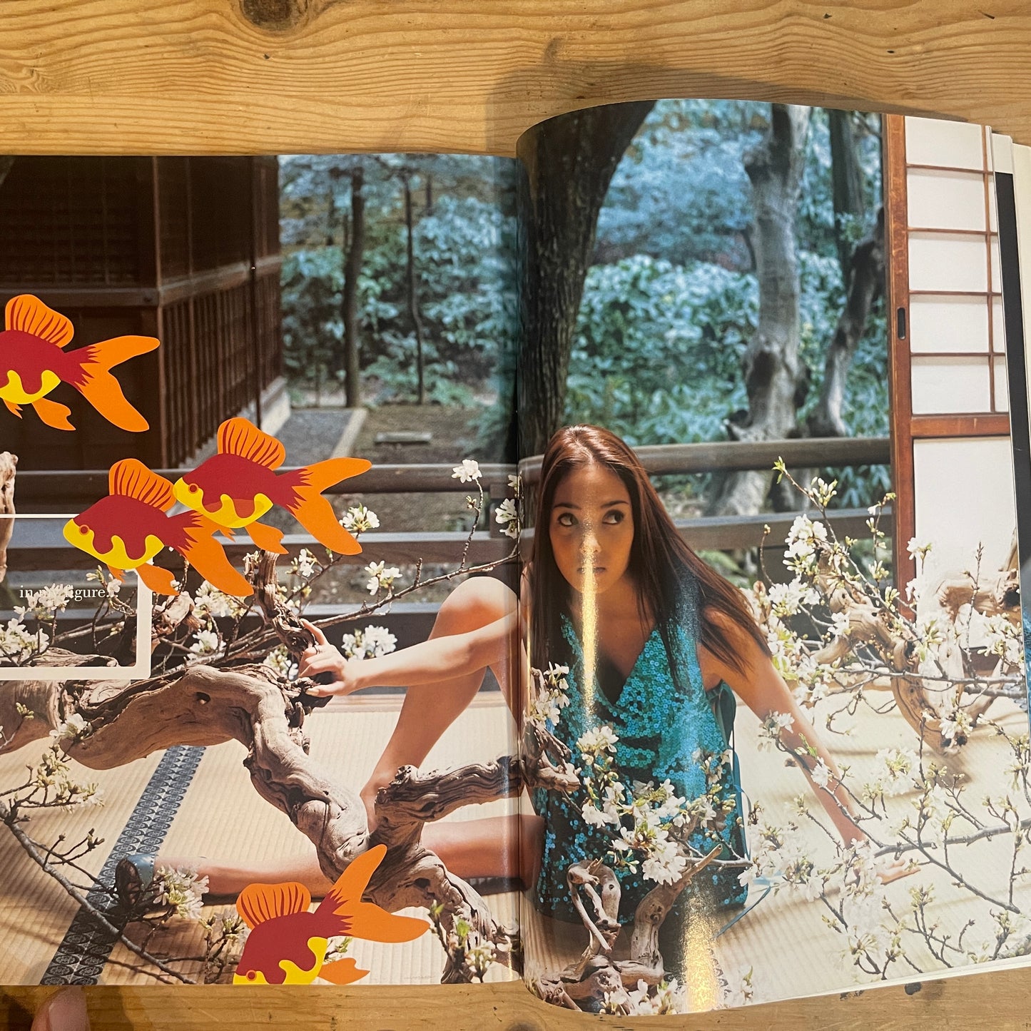 月刊中山エミリ / Gekkan Emiri Nakayama Photobook