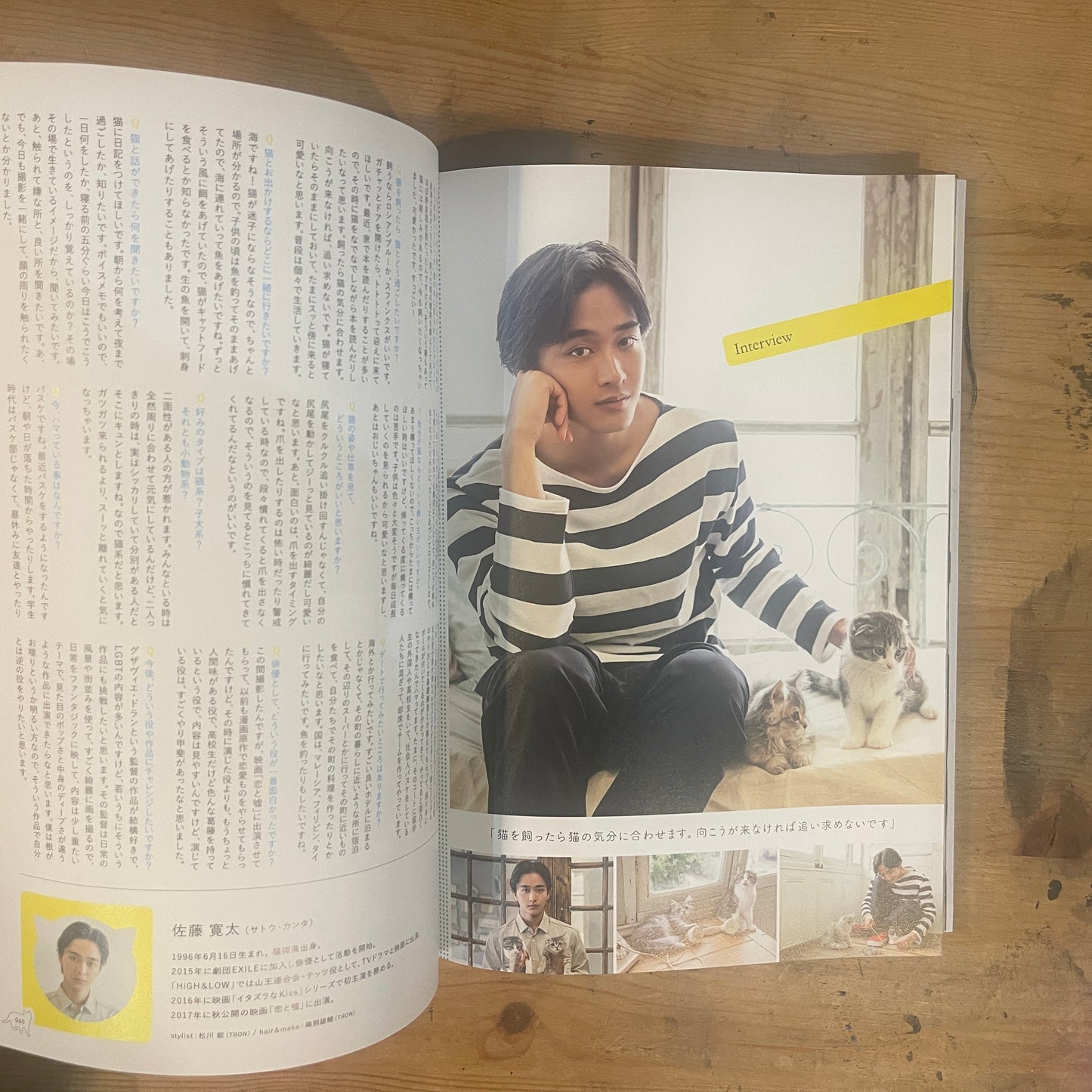 ねこカレ BOY Meets Cat / Neko Kare: BOY Meets Cat
