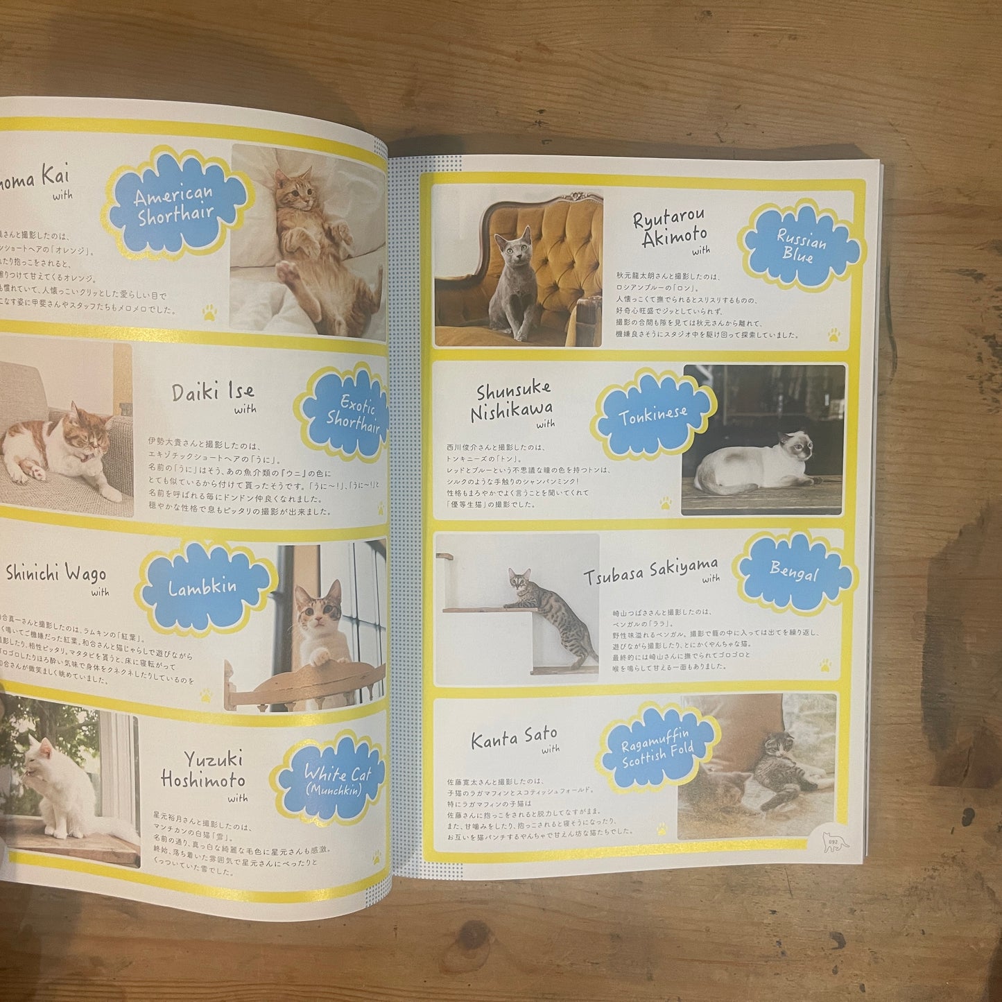 ねこカレ BOY Meets Cat / Neko Kare: BOY Meets Cat