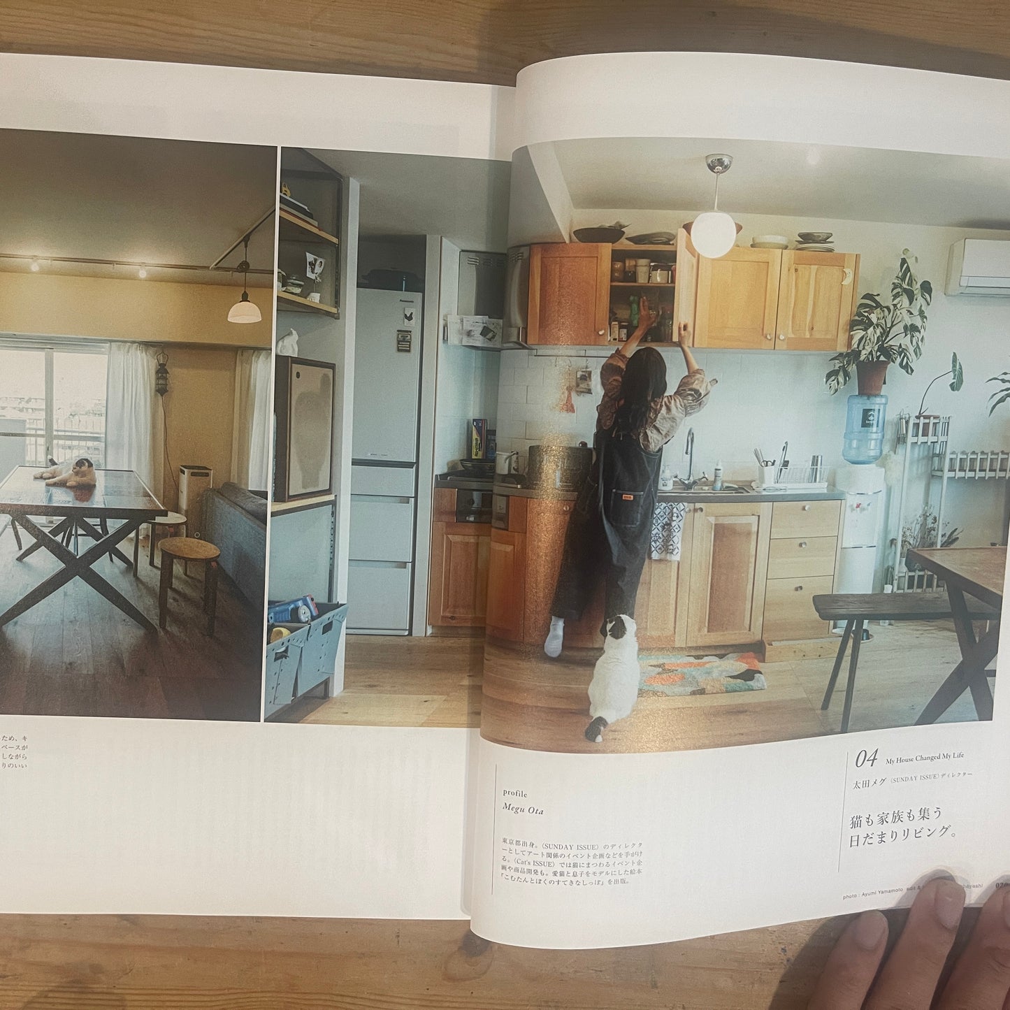 ＆LIFESTYLE MAGAZINEHOUSE MOOK / &LIFESTYLE MAGAZINEHOUSE MOOK