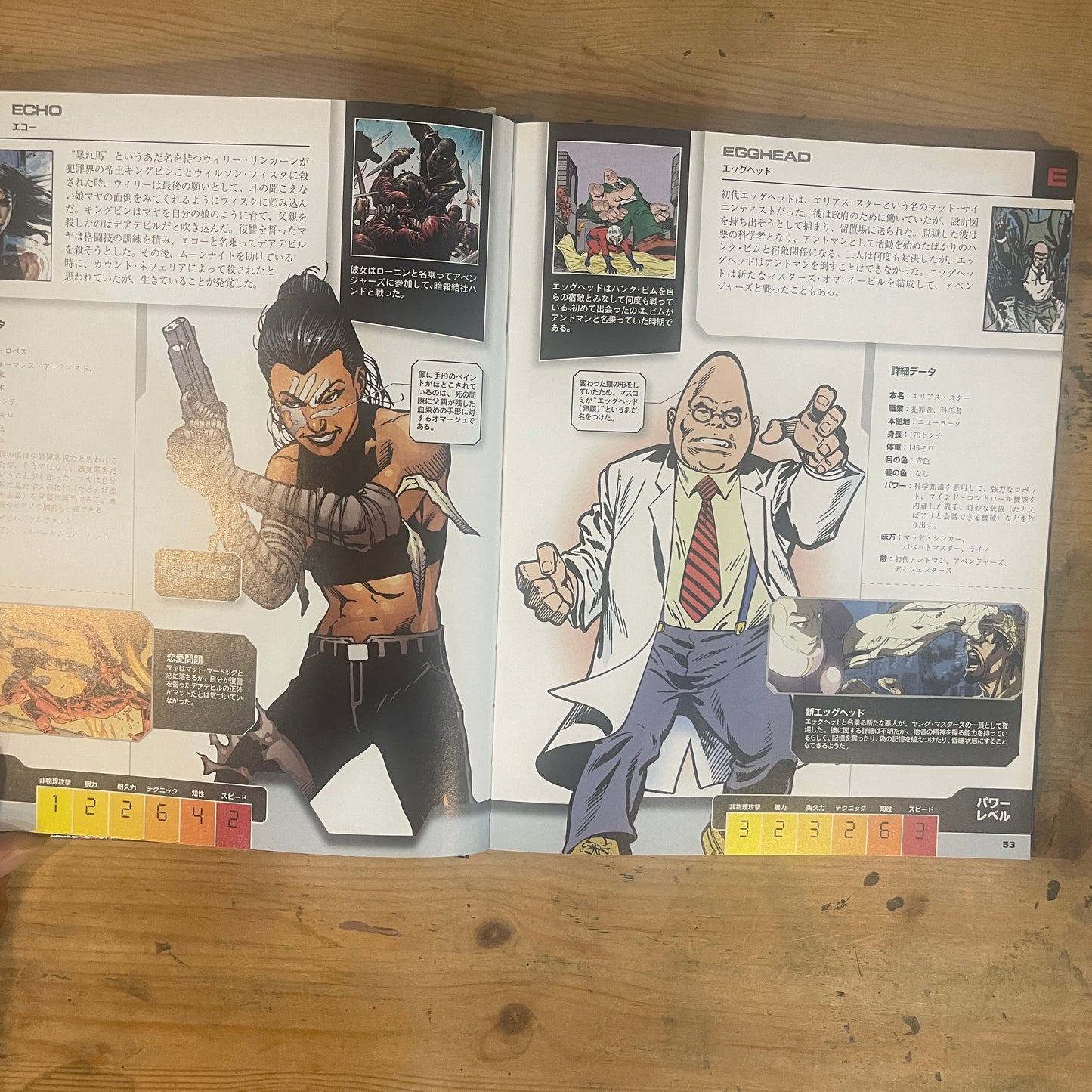 MARVEL AVENGERS THE ULTIMATE CHARACTER GUIDE UPDATE AND EXPANDED マーベル・アベンジャーズ辞典[増補改訂版]