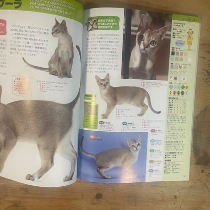 SEIBIDO MOOK 日本と世界の猫のカタログ 2009年版 / SEIBIDO MOOK: A Catalog of Cats in Japan and the World, 2009 Edition