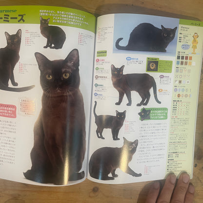 SEIBIDO MOOK 日本と世界の猫のカタログ 2009年版 / SEIBIDO MOOK: A Catalog of Cats in Japan and the World, 2009 Edition