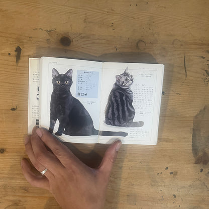 フォーグル博士のCATS 303種類世界のネコの完全ガイド / Dr. Fogle's CATS: A Complete Guide to 303 Breeds of the World's Cats