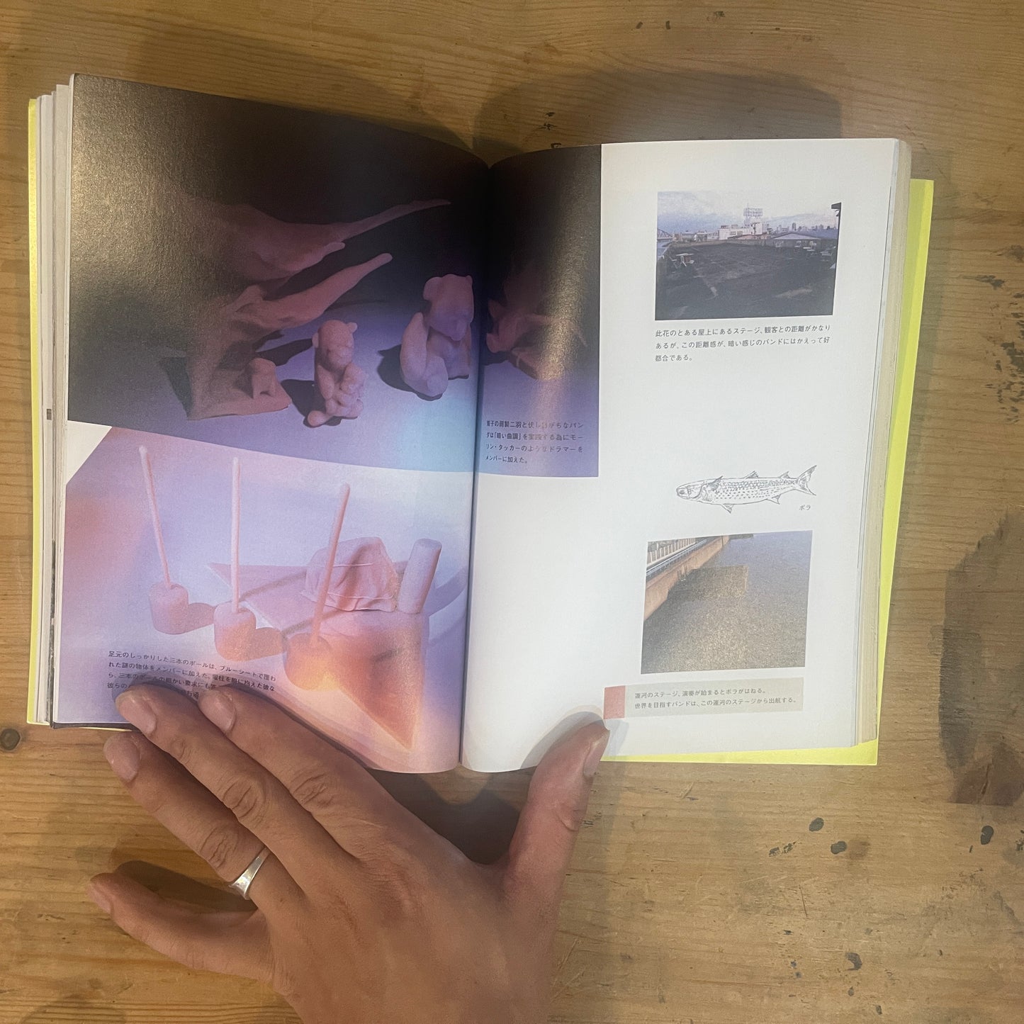 大阪観考 大阪資産*５名の美術家 / Osaka Contemplation: Osaka Assets * 5 Artists