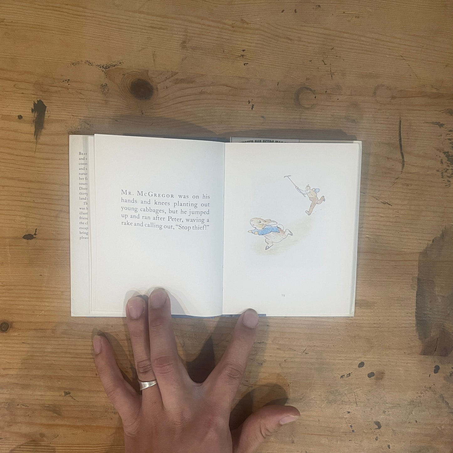 ピーターラビットのおはなし / The Tale of Peter Rabbit by Beatrix Potter