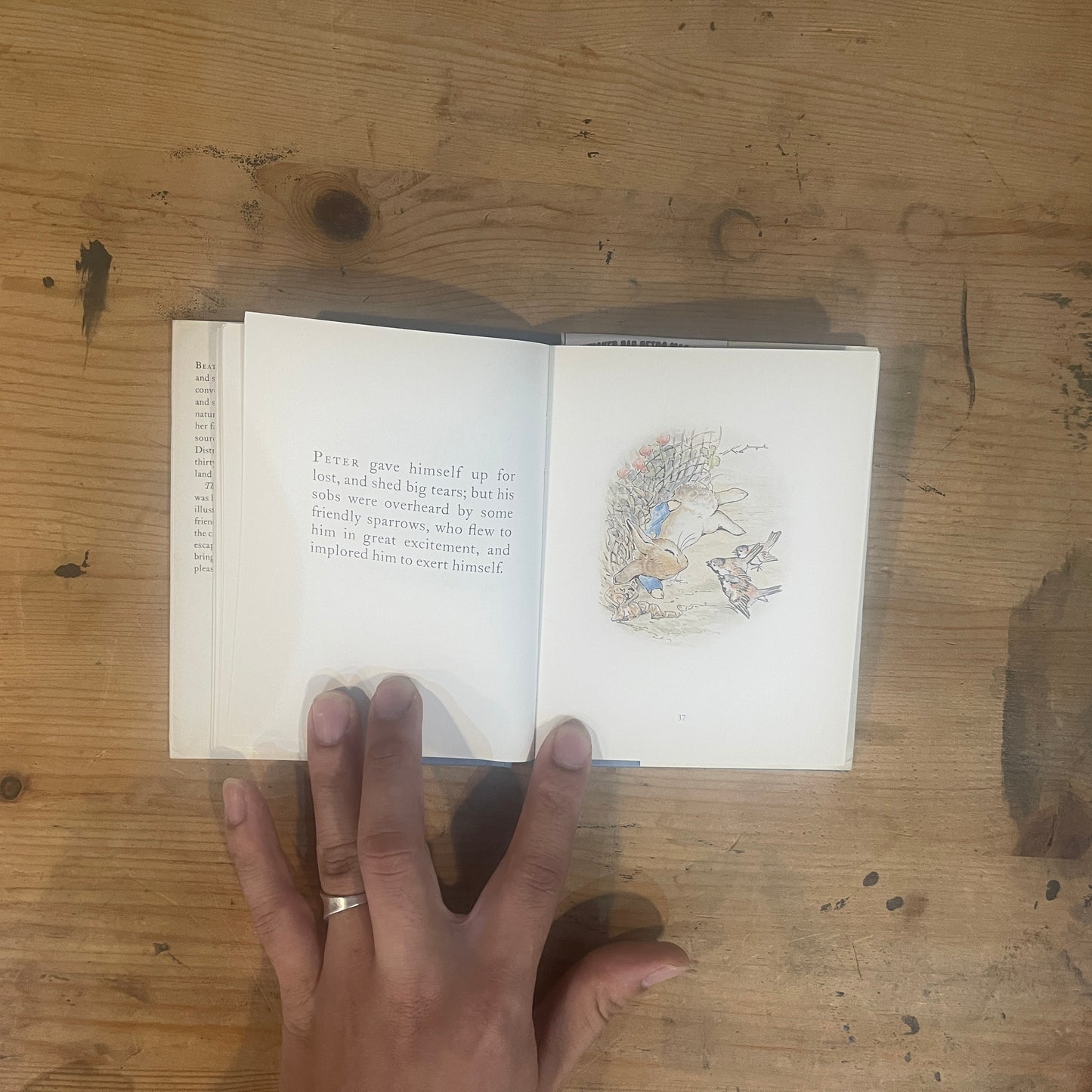 ピーターラビットのおはなし / The Tale of Peter Rabbit by Beatrix Potter