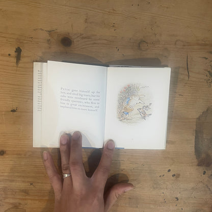 ピーターラビットのおはなし / The Tale of Peter Rabbit by Beatrix Potter